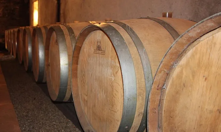 From Angers - Anjou Vineyards in Minivan