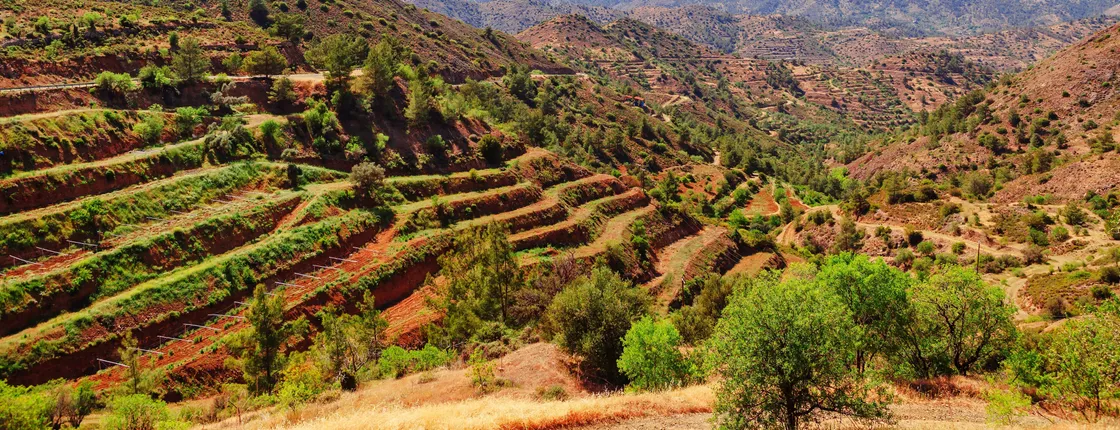 Winery tour in Troodos mountain village with wine tasting