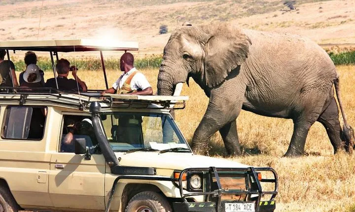 3 Days Samburu Wildlife Luxury Safari on 4x4 Land Cruiser Jeep