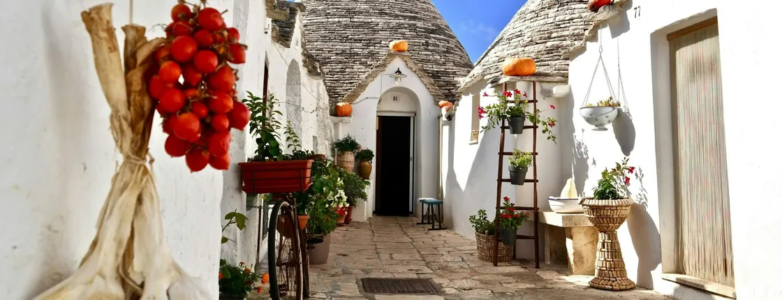Full Day Private Tour Guide Service