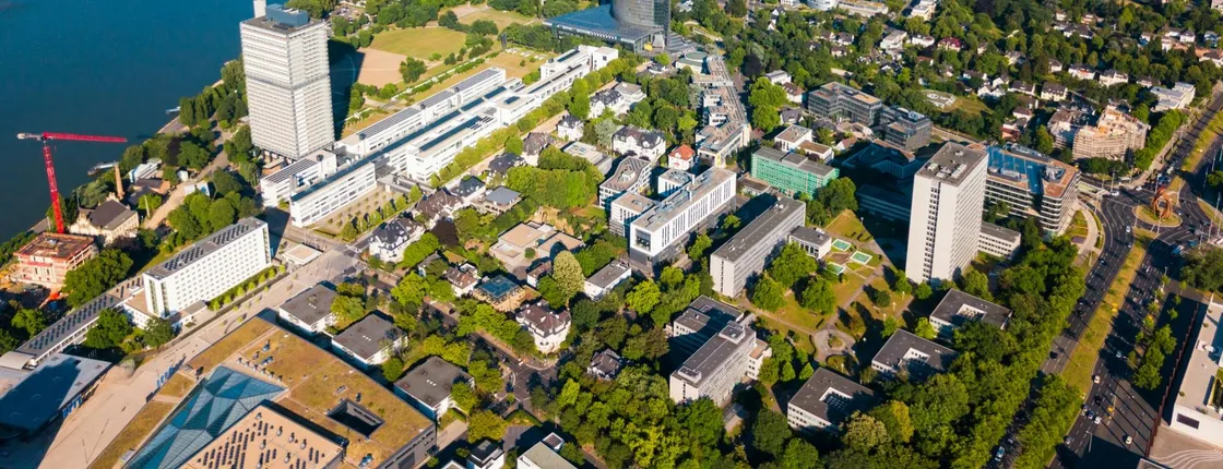 Bonn 2-hour city walking tour with a local