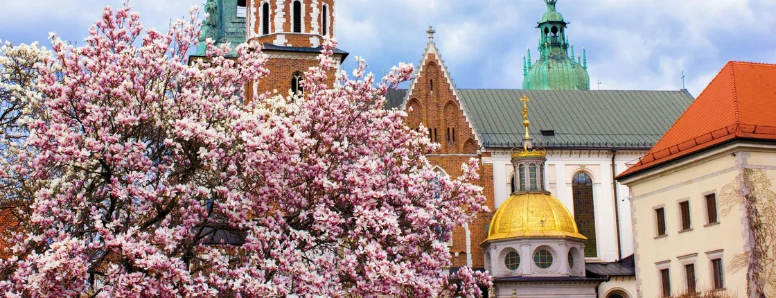 1-hour Tour of Krakow with a Local