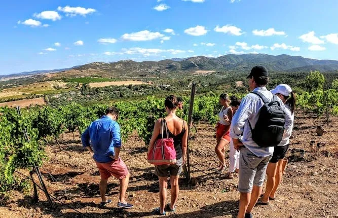 Small Group Tour with Brunch and Wine Tasting from Cagliari