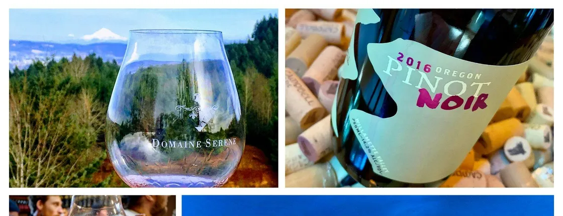 Oregon wine tasting tour