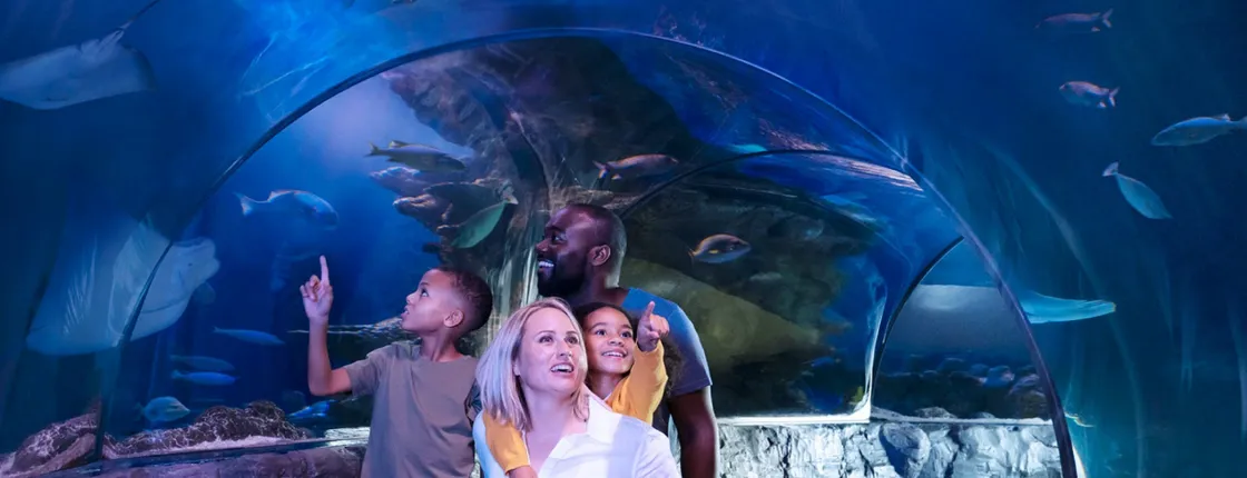 Tickets to SEA LIFE Orlando Aquarium