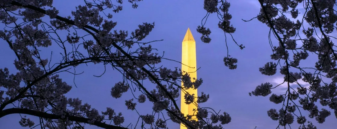 DC Monuments night tour with 10 stops and cherry blossoms