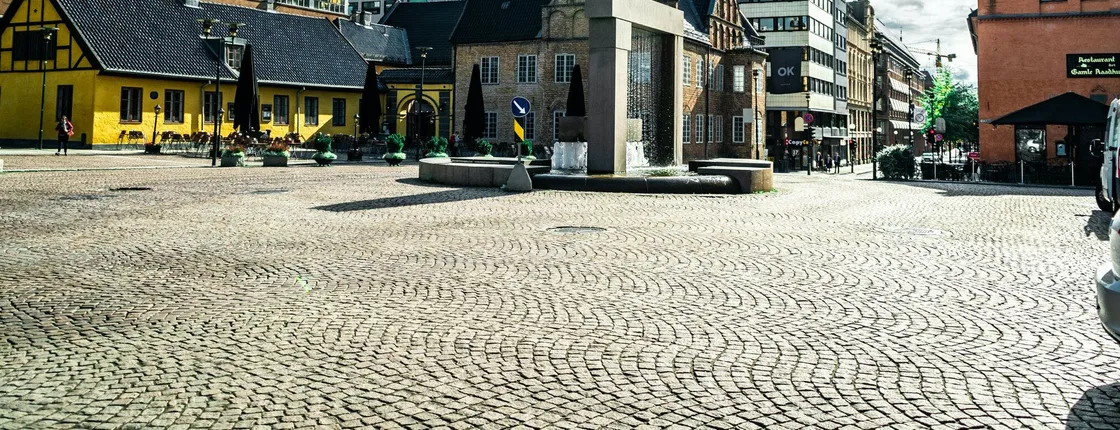 Explore the Fram Museum with private guide