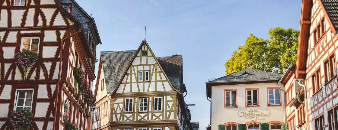 Mainz Guided Tour from Frankfurt by Train