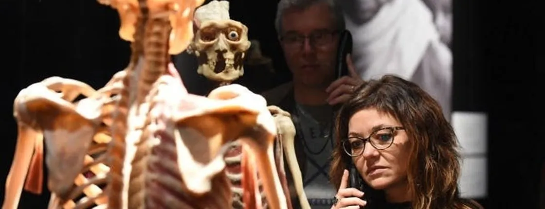 BODY WORLDS & The Cycle of Life exhibition in Kempten