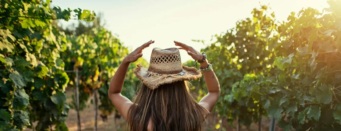 Private Halkidiki brewery and vineyard tasting tour