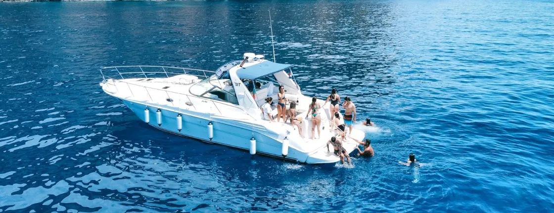 Whales and dolphins watching boat tour