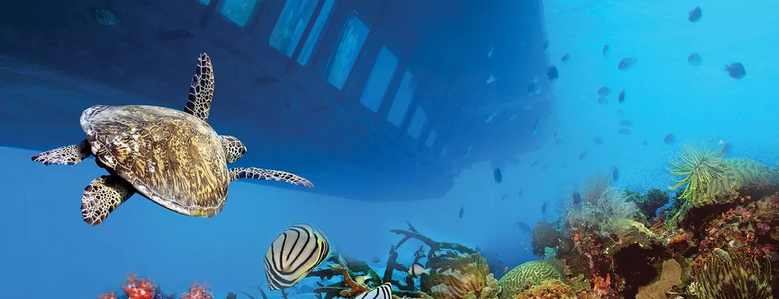 Hurghada mermaid glass-bottom boat tour