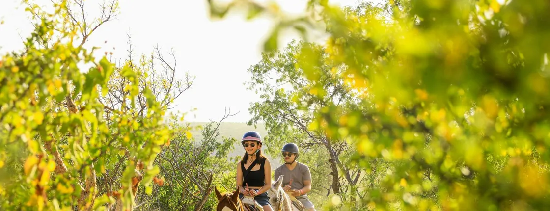 Wild Canyon Park total experience