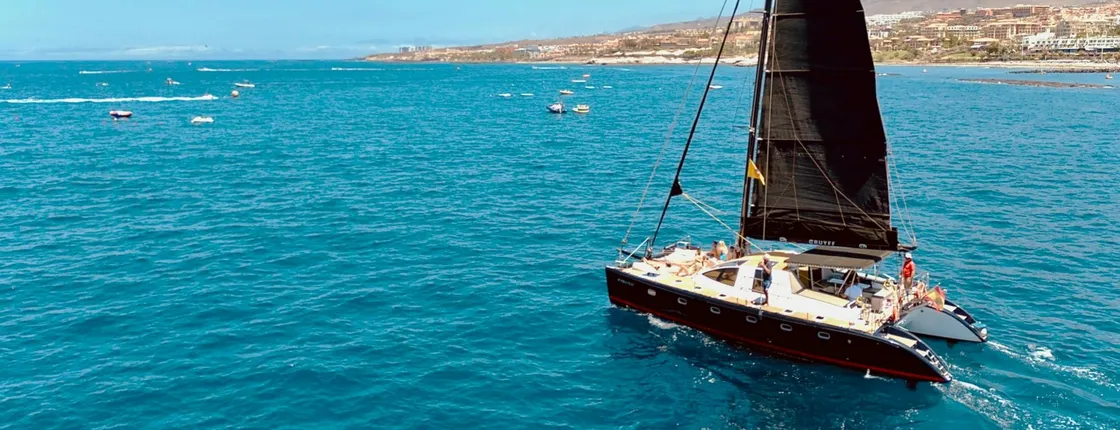 Tenerife adults-only catamaran cruise with drinks and snacks included