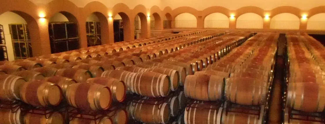 Ávila and Rueda wine tour from Madrid