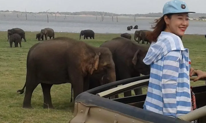 Minneriya National Park private safari 