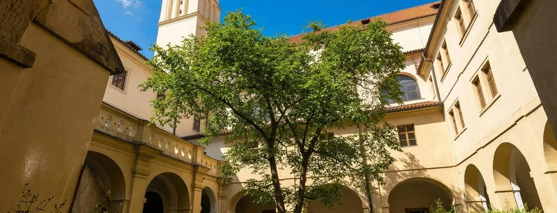 Basilica of St James and Minorite Friary 3-hours tour in Prague