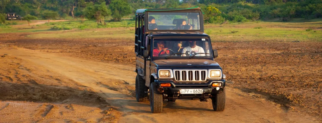 Yala National Park safari, Ella and Nuwara Eliya two-day tour