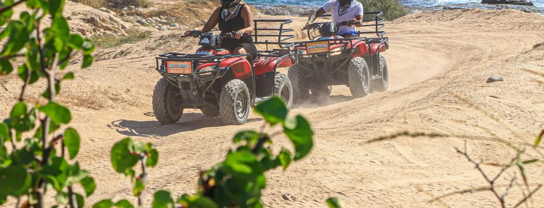 Full-day Ultimate Pass adventure at Wild Canyon in Los Cabos