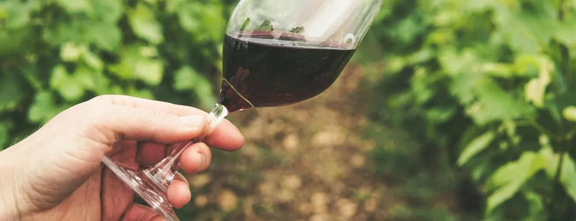 Wineries Guided Tour and Wine Tasting from Kavala with Transportation