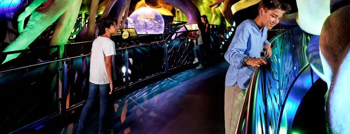 Expo City Attraction Pass