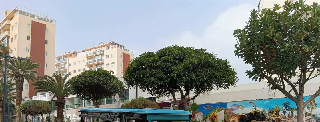 Two-hour shared tuk tuk tour of Puerto de la Cruz