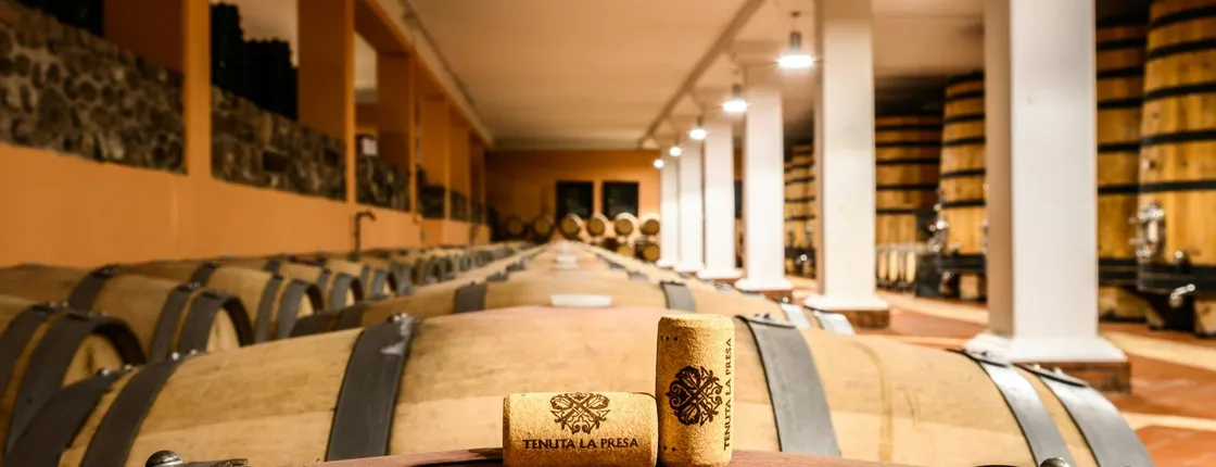 Wine tour with tasting in the Garda Hills