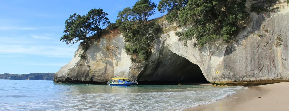 Tour of the Coromandel