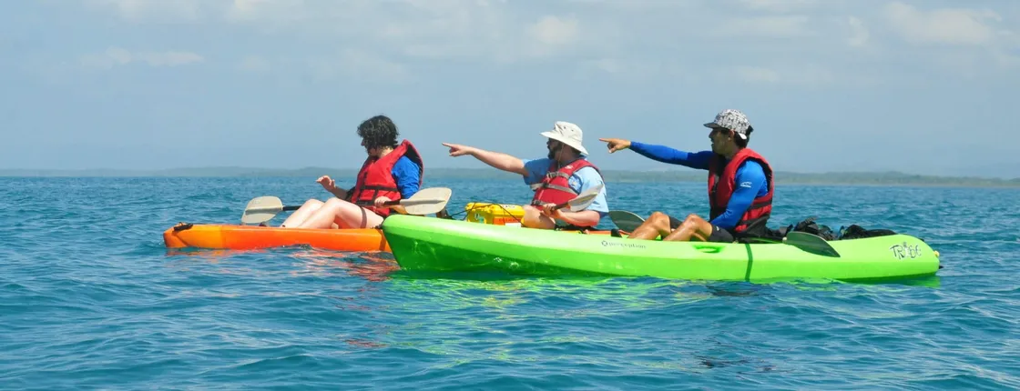 Half-Day Biesanz Bay Kayak & Snorkel Tour with Transport
