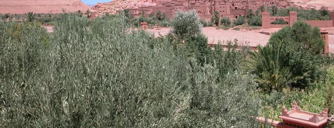 Full day tour of Ouarzazate from Marrakech