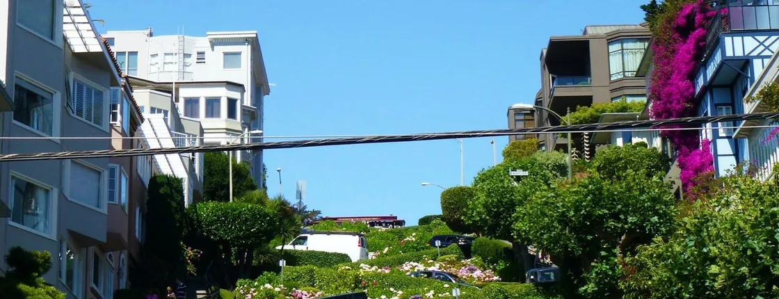 San Francisco Hop-On Hop-Off and Half Day Wine Country Tour
