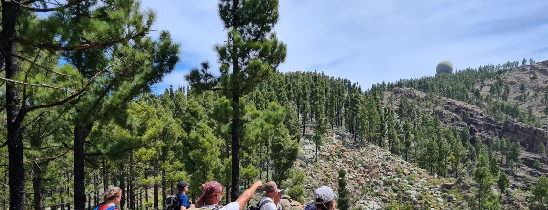 Peaks of Gran Canaria: full-day hiking with pickup and lunch