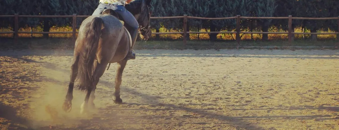 Kavala Area Tour with Equestrian Club and Wax Museum Visit