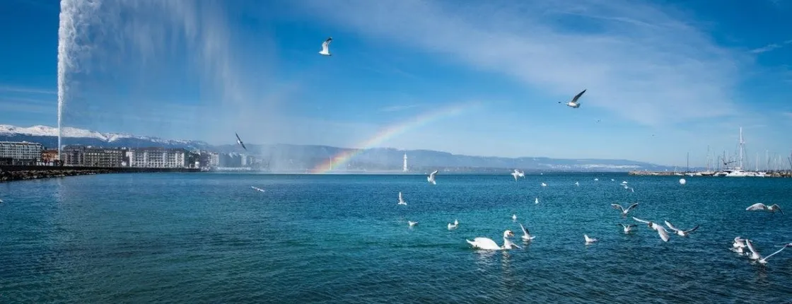Geneva Lake cruise with snacks and wine