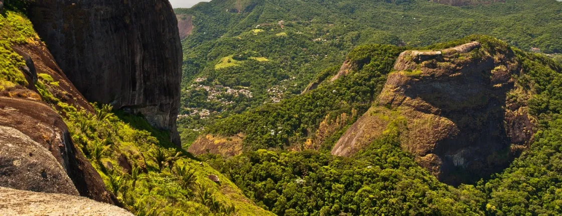 Rainforest jeep tour from Rio with botanical garden
