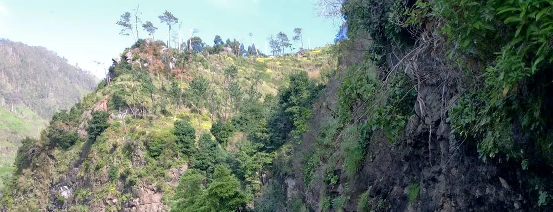 Walk the Levada do Moinho in Ponta do Sol