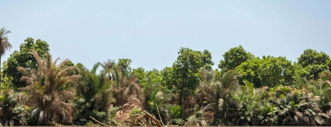 Janjanbureh 2-day tour with overnight stay in a traditional camp