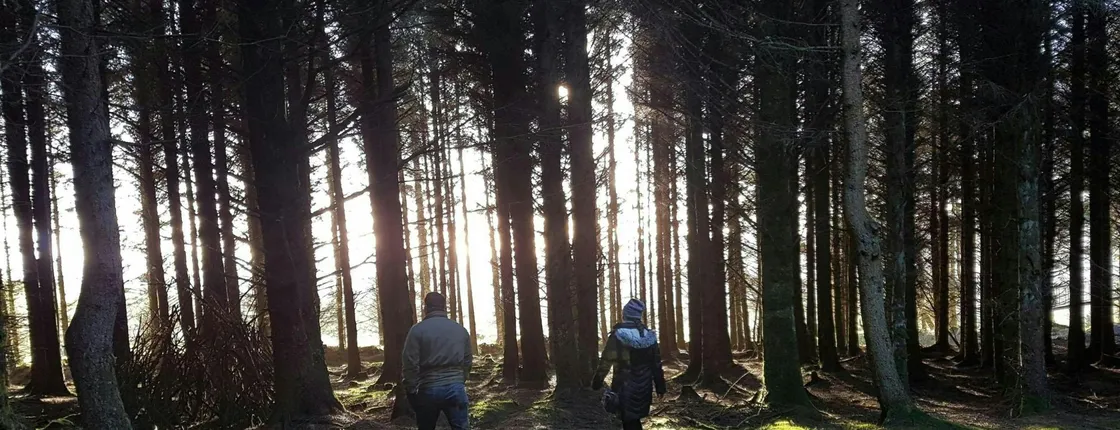 Trails and Tombs tour in the Dublin mountains