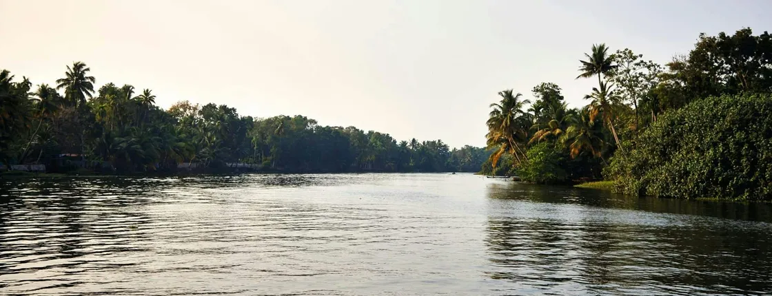 Goa backwaters kayaking tour on the Sal River