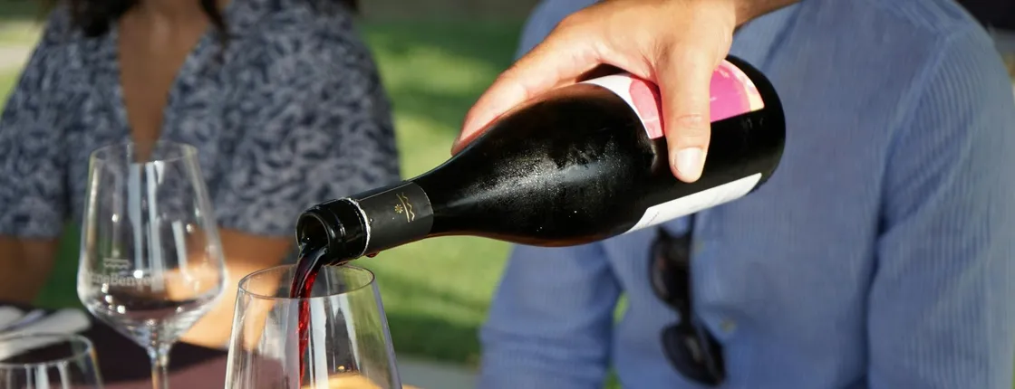 Calabrian vineyard tour with wine-tasting from Pizzo