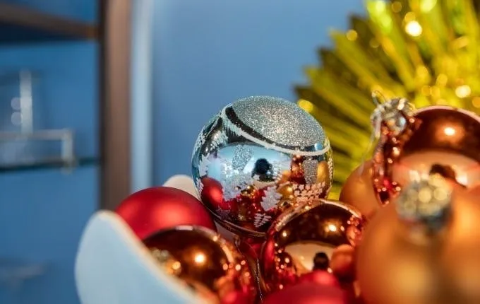 Christmas boat tour on a solar catamaran
