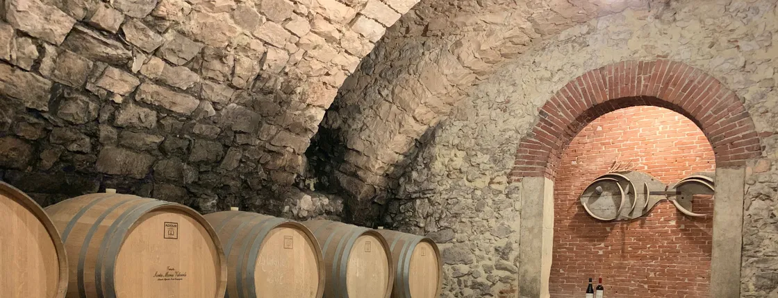 Valpolicella private tour with olive oil tasting