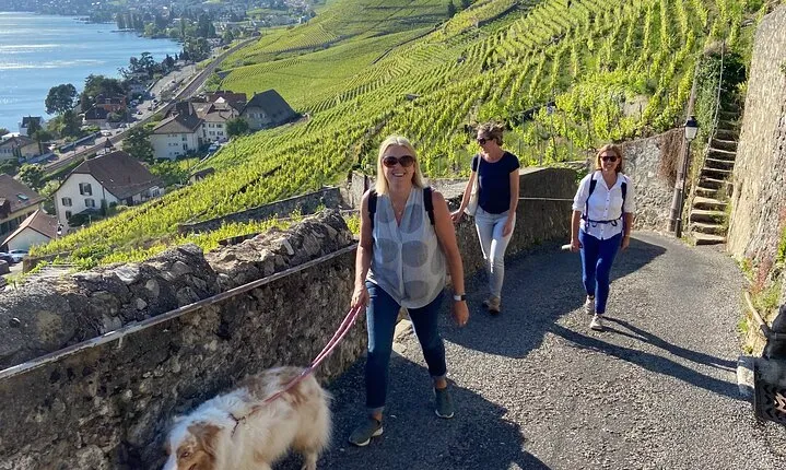 Vine Stories: Lavaux & Lutry wine walk