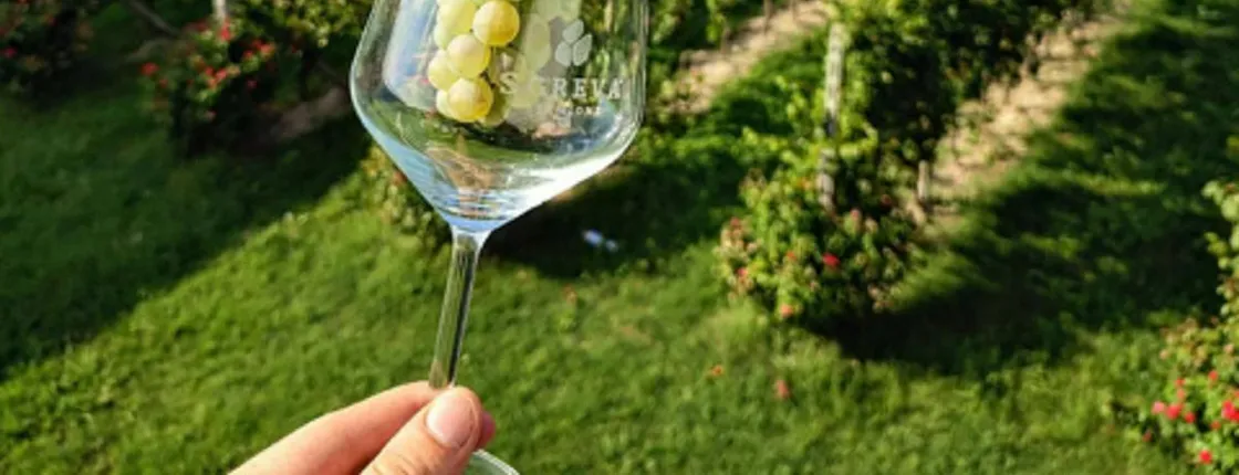World of Lugana Wines Tour at Lake Garda