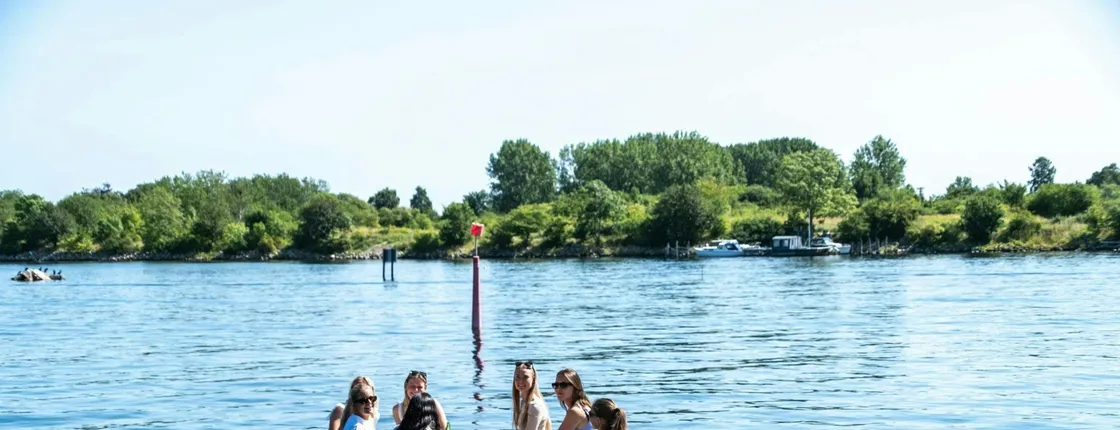 Private 4-hour electric cruise in Copenhagen's waterways