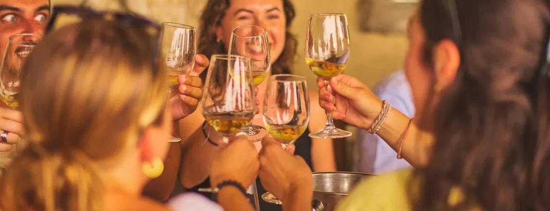 Guided wine tasting tour in Florence with a professional connoisseur