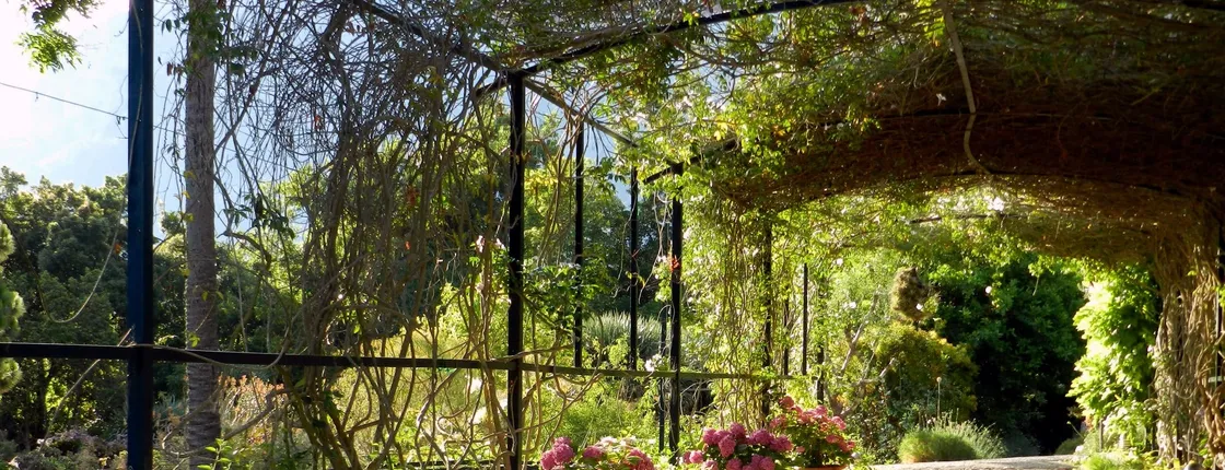 Soller Botanical Garden Ticket