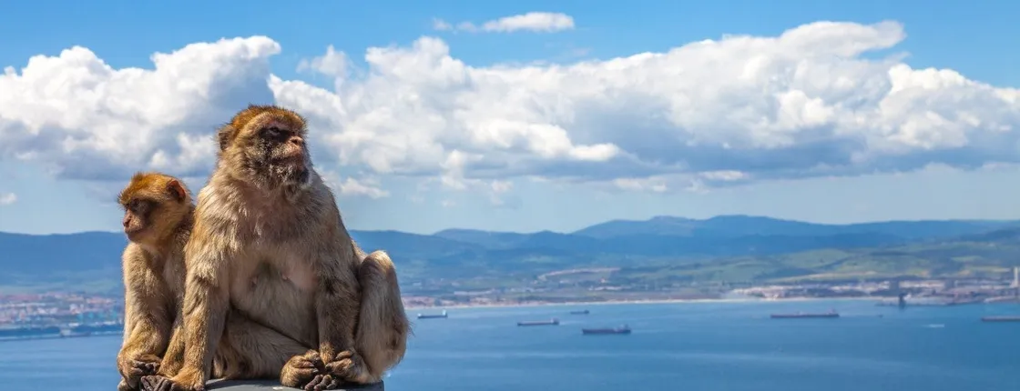 Full-day guided tour to Gibraltar from Málaga