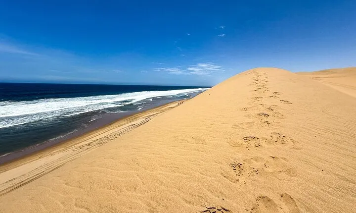 Sandwich Harbour Adventure: Seals and Sandwich harbour dune drive