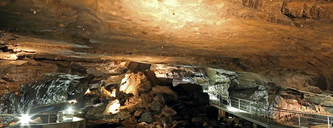 Al Hoota Cave entrance ticket and guided tour